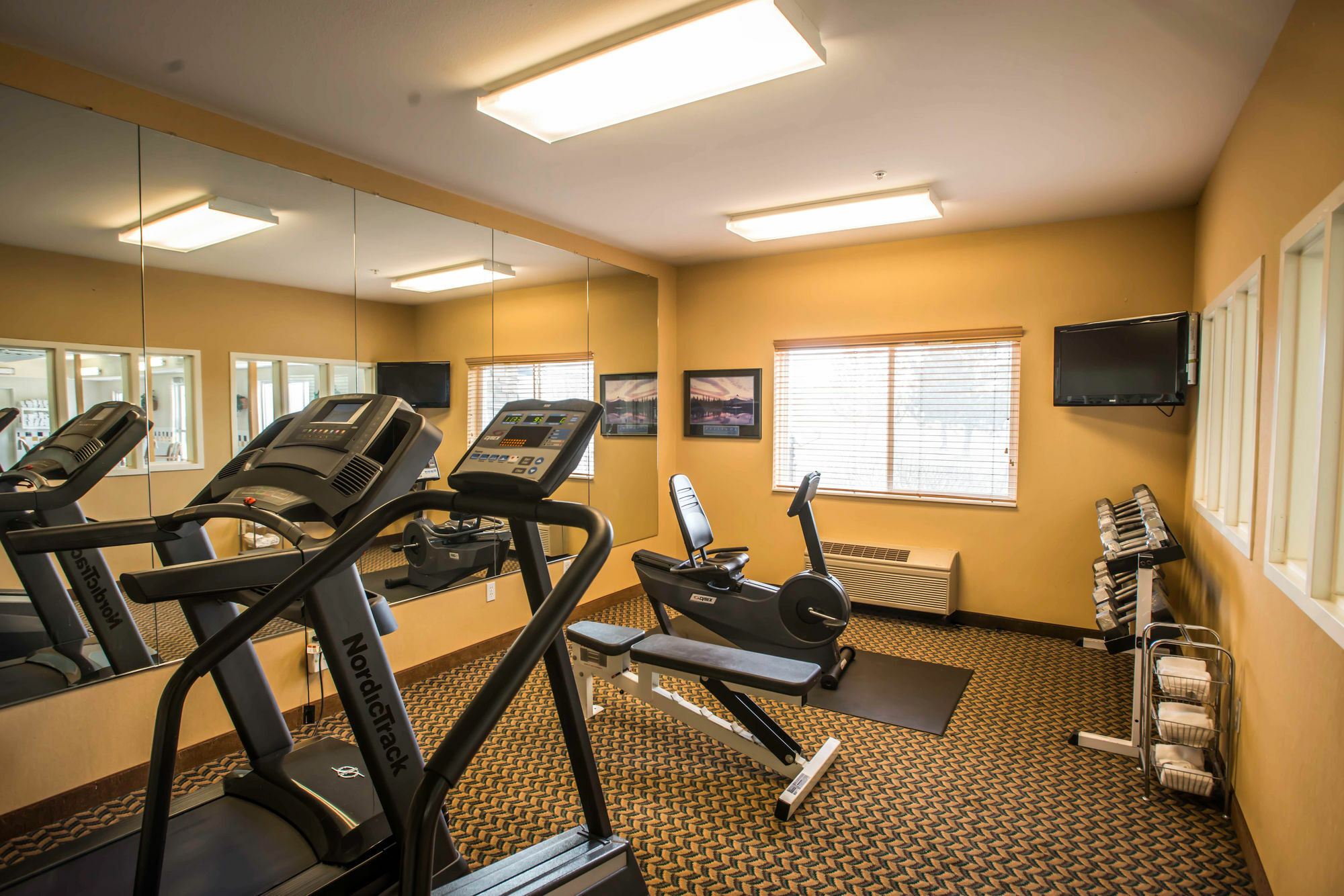 Comfort Inn Fort Collins North Dış mekan fotoğraf
